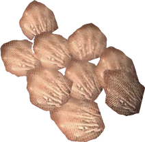 Slaughterfish Scales