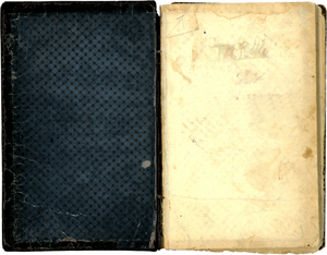 Tom-riddles-diary