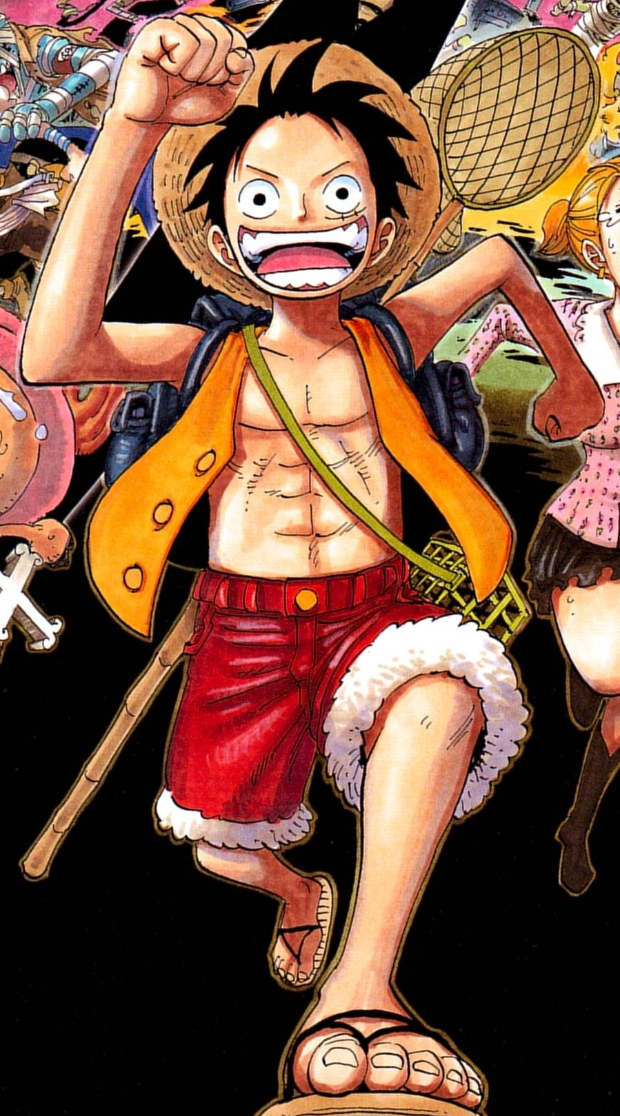 http://images4.wikia.nocookie.net/__cb20130526082626/onepiece/fr/images/d/de/Luffy_Thriller_Bark.png