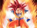 2953448-super+saiyan+god+(3)