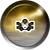 081Magnemite3