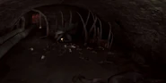 Rats3