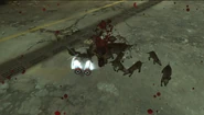 Rats4