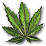 Hemp-1-