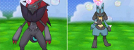 Zoroark y Lucario en el Poké Recreo XY