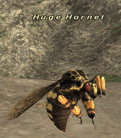 HugeHornet.jpg