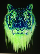 Tumblr mhj54gkZdJ1qicsgwo1 500