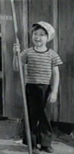 Dickie Hall