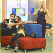 Ant farm wiki