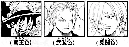 SBS71_2_Straw_Hats_Haki_Users.png