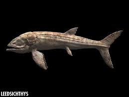 ... .jpg - Walking With Wikis - the free Walking with... encyclopedia Walking With Dinosaurs Edmontonia ... .jpg - Walking With Wikis - the free Walking with... encyclopedia Walking With Dinosaurs Edmontonia