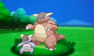 Mega-Kangaskhan en combate.png (195 KB) Mega-Kangaskhan en combate