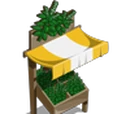 Basil