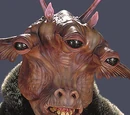 Senador