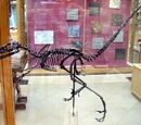2000 in paleontology