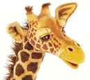 Episode 115: Giraffe & Sloth