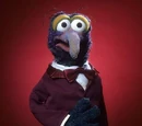Gonzo