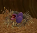 Takk's Nest