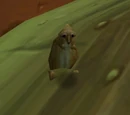Snufflenose Gopher