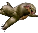 Aquatic Form