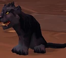 Panther Cub (companion)