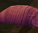 Temporal Parasite