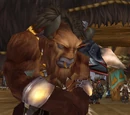 Durm Icehide