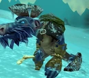 Snowplain Disciple