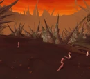 Churning Gulch