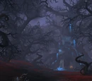 Blackwald