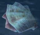 Giant Clam