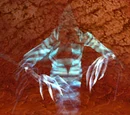 Deathly Usher