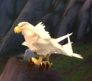 Roc