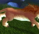 Elder Springpaw