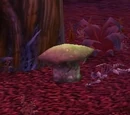 Fel Cone Fungus