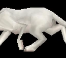 Cat Carrier (White Kitten)