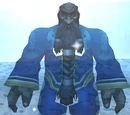 Elder Bronzebeard
