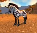 Zhevra Runner