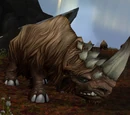 Rhinoceros