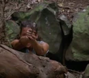 Jungle skirmish