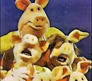 Pigs