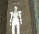 Sir Valinayle