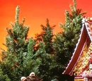 Hansel and Gretel