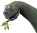 Brontosauri