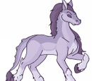 Equalion