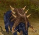Grand Bison Keuraijen