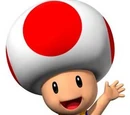 Toad