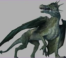Drache