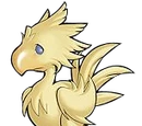 Chocobo