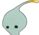 PuPu